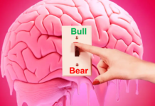 Brain Switch -Bull To Bear & Vice Versa bull bear