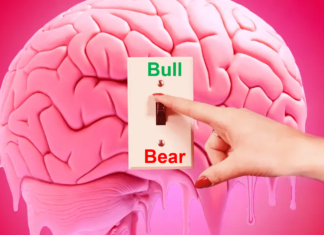 Brain Switch -Bull To Bear & Vice Versa bull bear