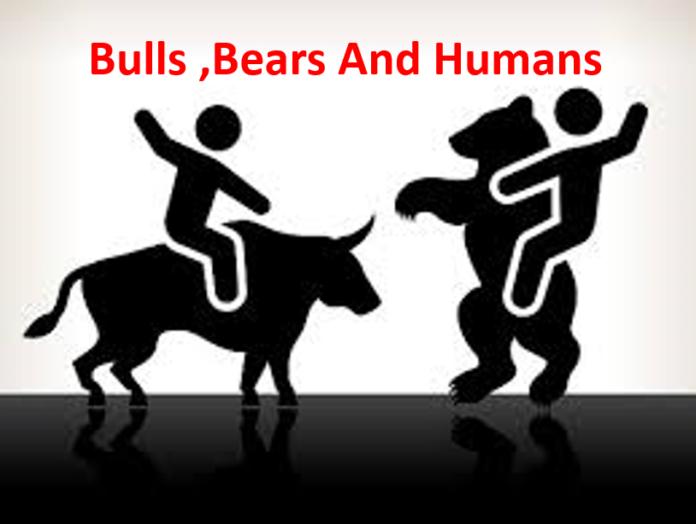 bulls bears humans
